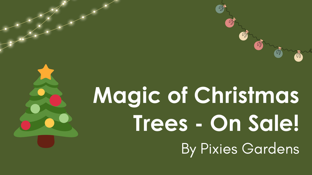 Unwrap the Magic of Christmas Trees on Sale