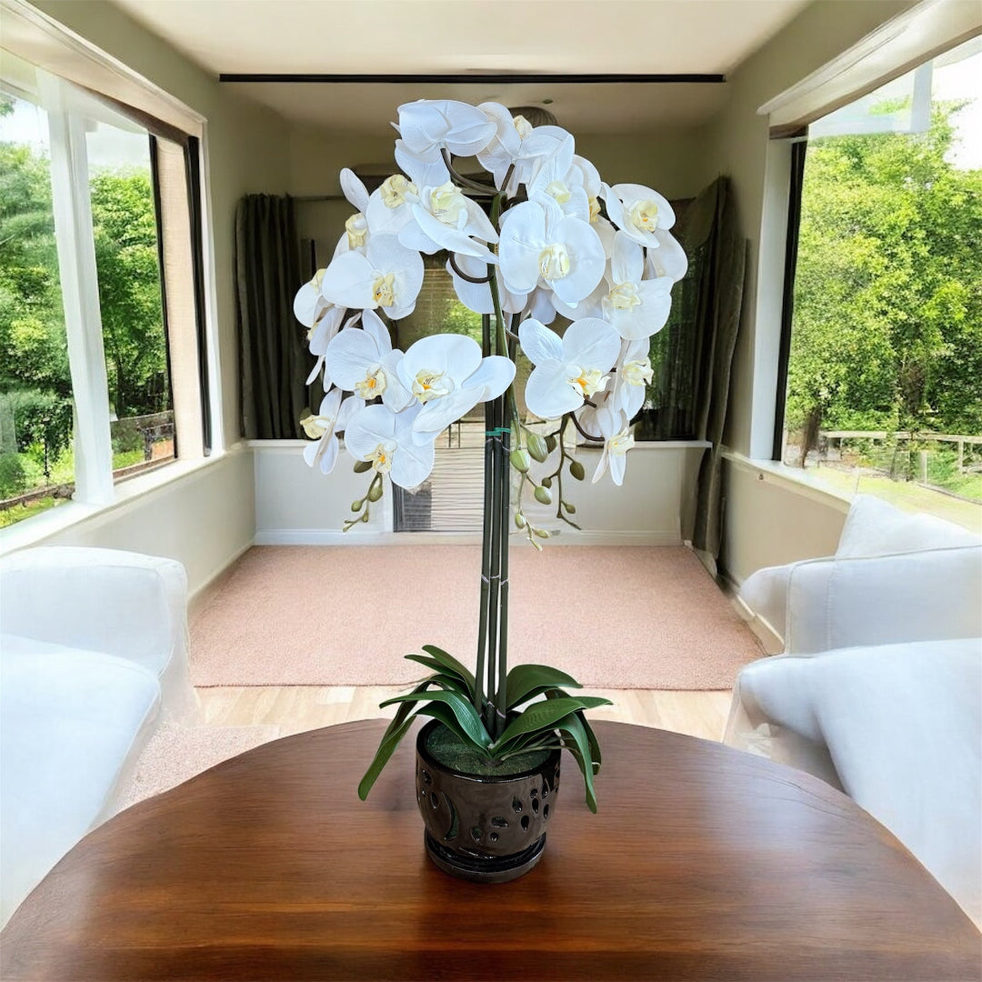 Artificial White Orchid Plant in Black Ceramic Pot (Perfect Gift)