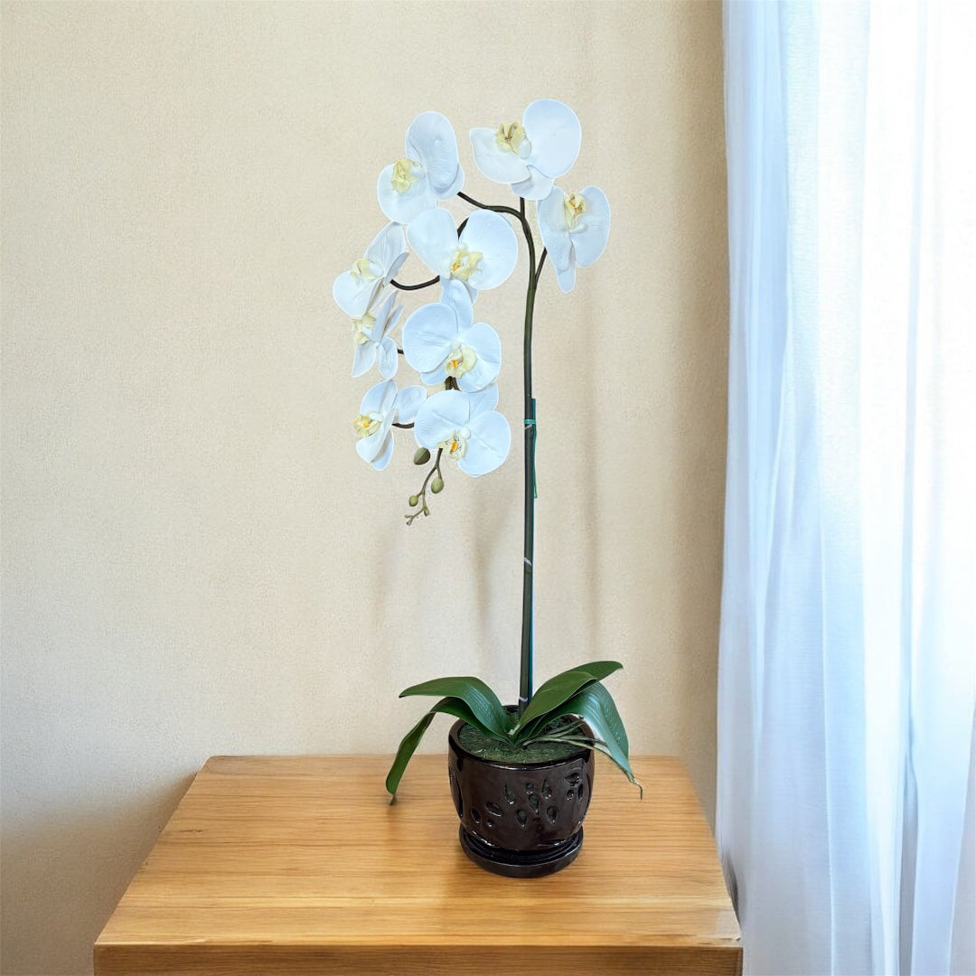 Artificial White Orchid Plant in Black Ceramic Pot (Perfect Gift)