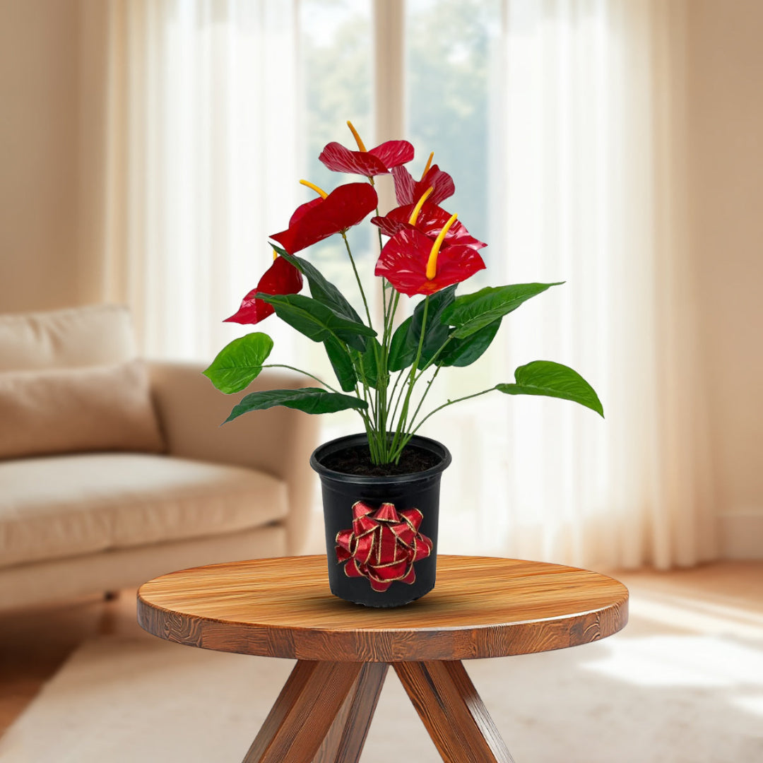 Artificial red Anthurium plant in decorative pot for indoor decor