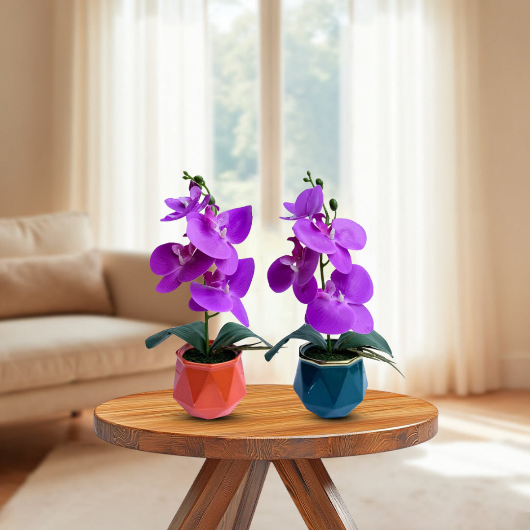 Gorgeous Purple Mini Orchid In Different Type of Pot - Artificial