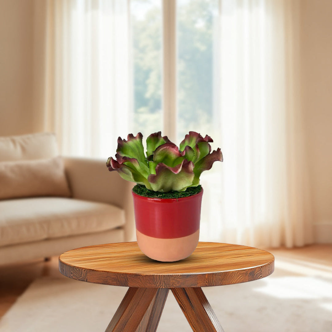 Artificial Echeveria Ruffles plant for home decor on a wooden table