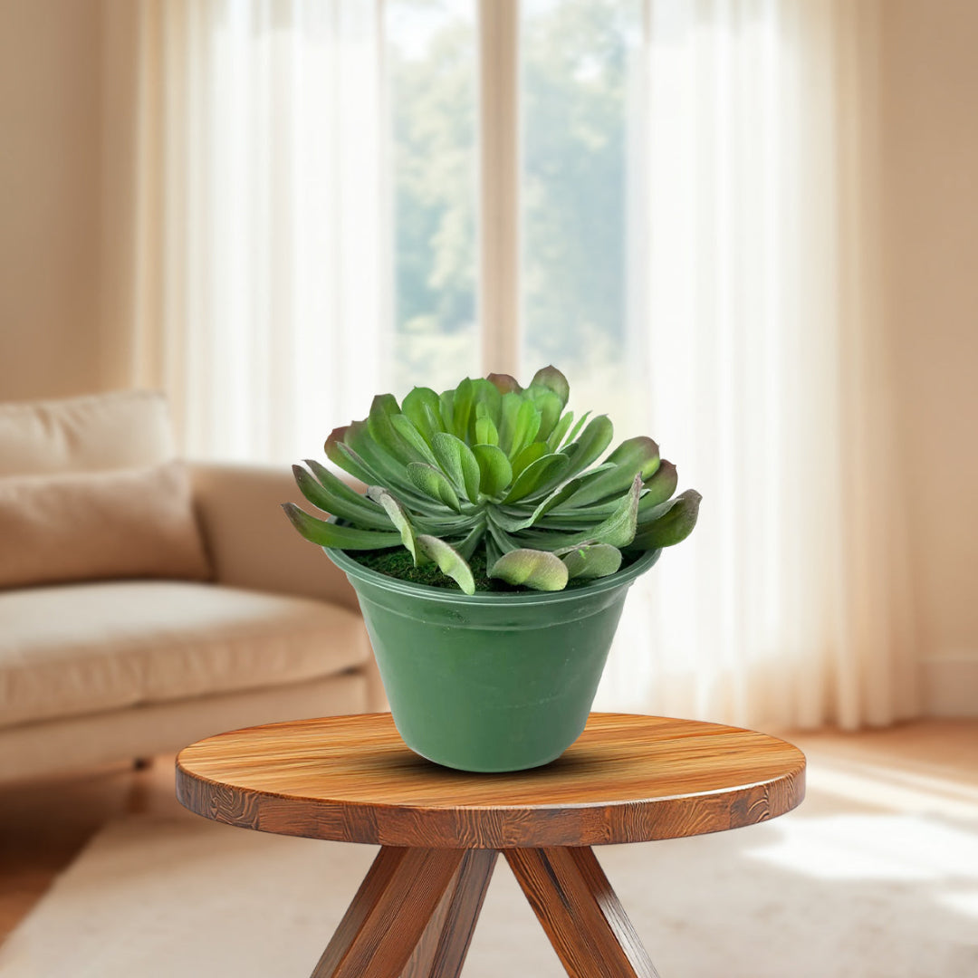 Artificial houseleek succulent plant for living room home decor