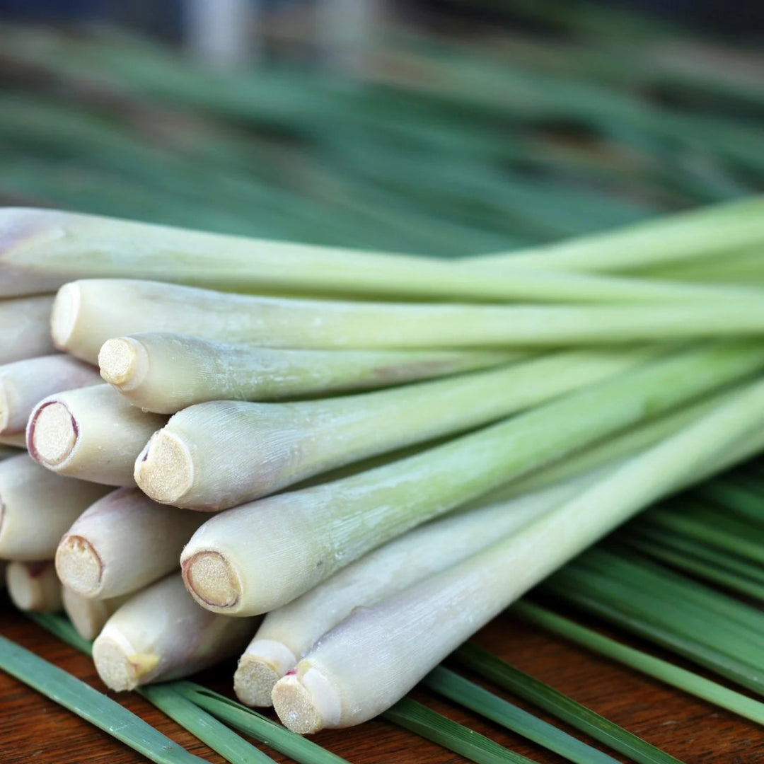 Lemongrass