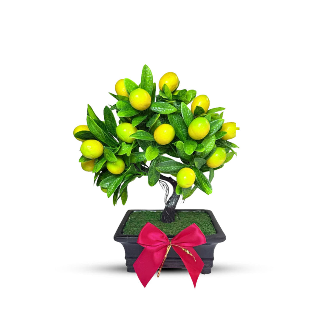 Mini Lemon Bonsai – Perfect Christmas Gift