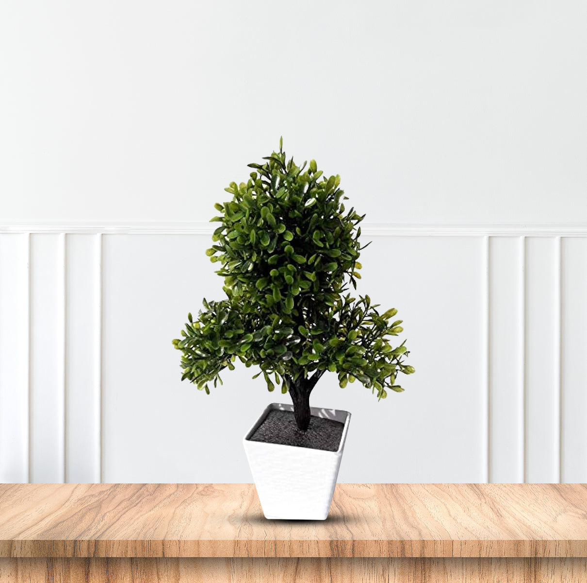 Gorgeous Bonsai w/Very Attractive Pot -Good Gift