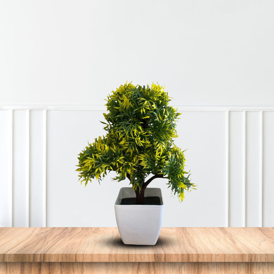 Gorgeous Bonsai with Very Attractive Pot - Green Color (Artificial) Good Gift