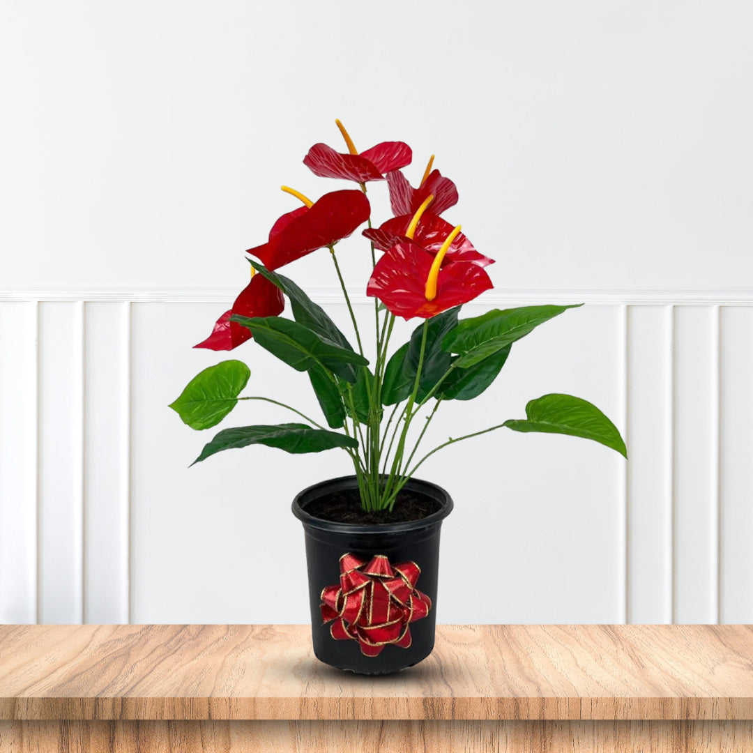 Artificial Anthurium plant with realistic red flowers and green leaves