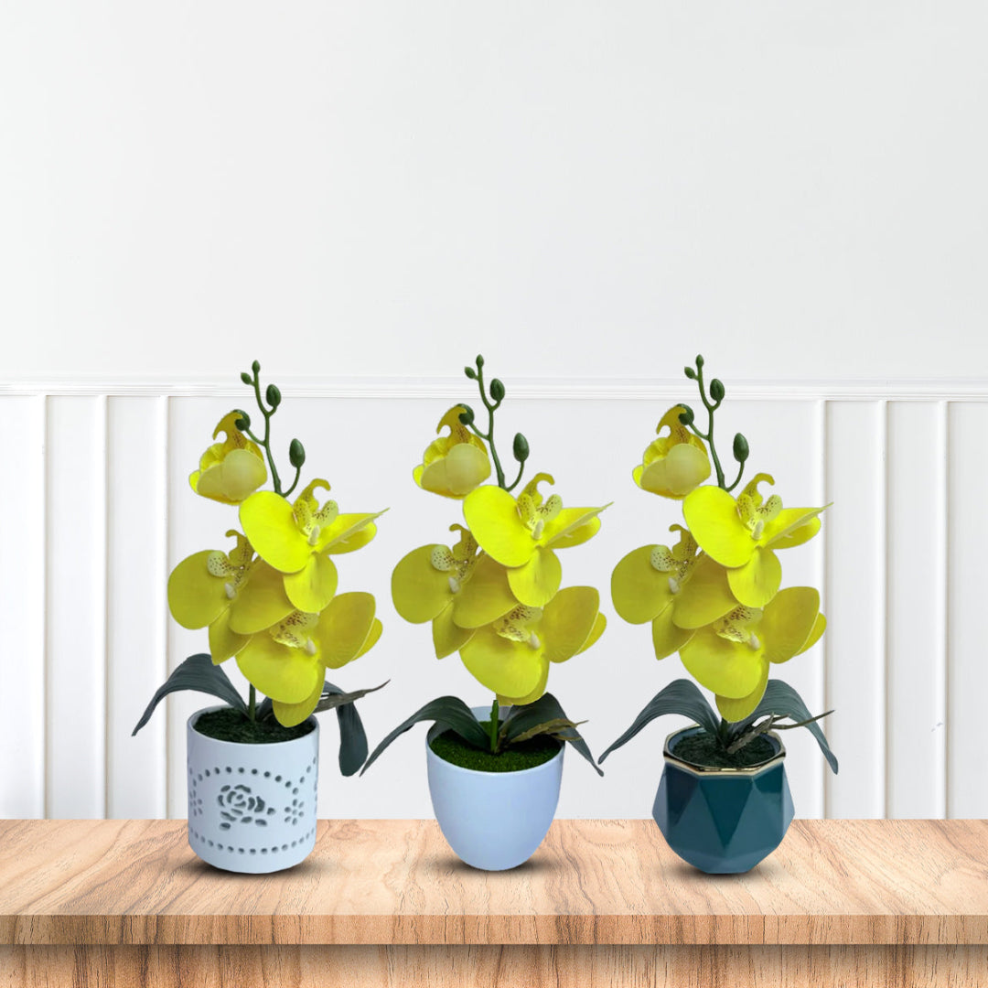 Gorgeous Yellow Mini Orchid In Different Type of Pot - Artificial