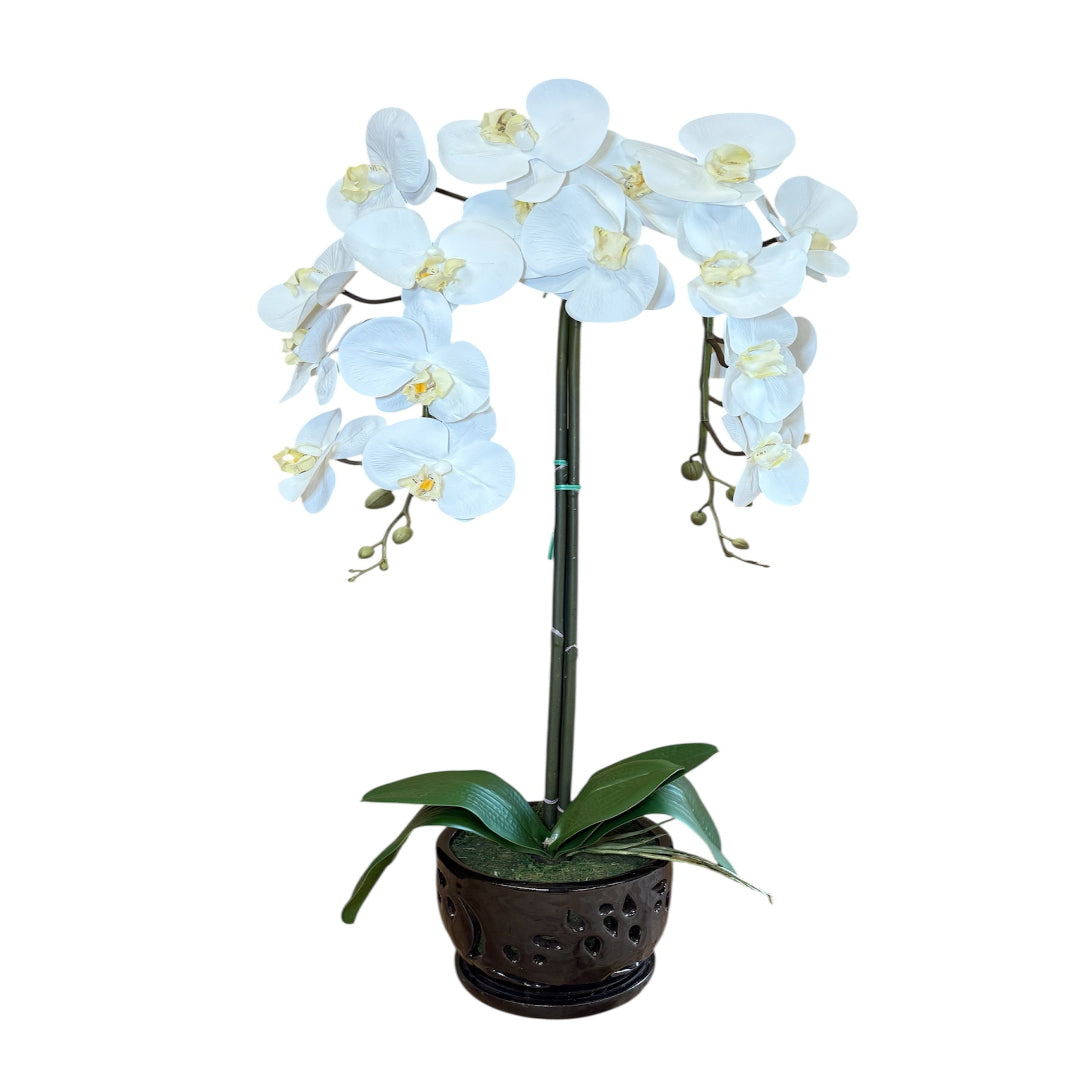 Faux white orchid in black pot for office and home decor