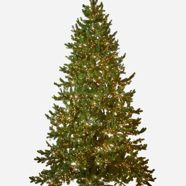 Artificial Plant : 3 Feet Cashmere Pine Tree