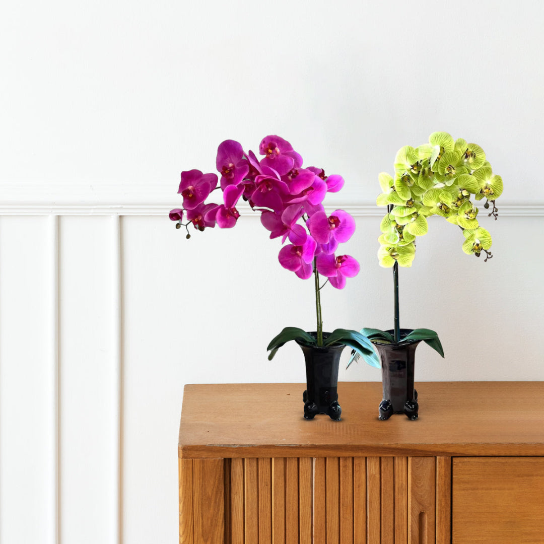 Stunning Orchids in Black Ceramic Legged Pot-Artificial (Perfect Gift)