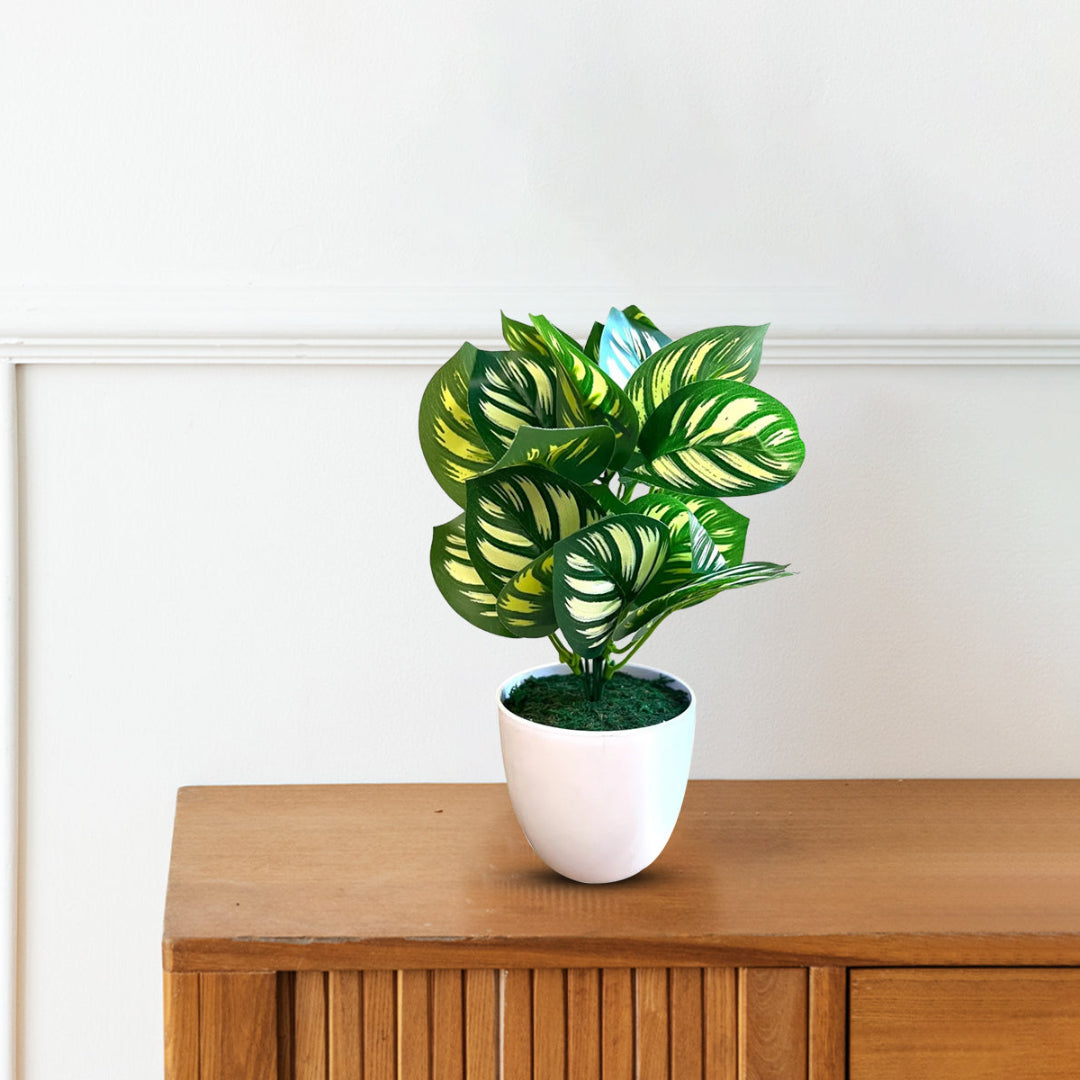 Artificial Plant : 11 Inches Green Potted Succulent-Good Gift