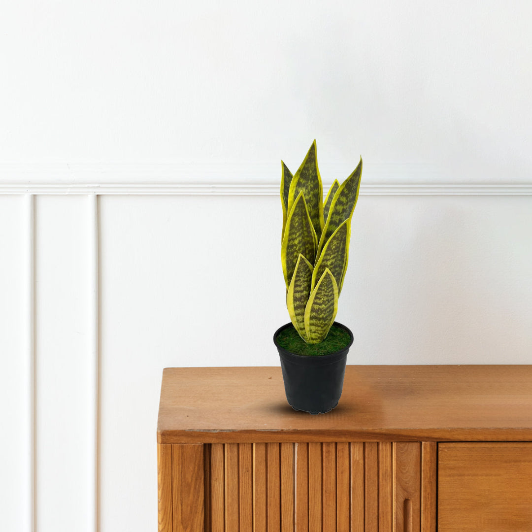 Beautiful Potted Snake Plant-Artificial