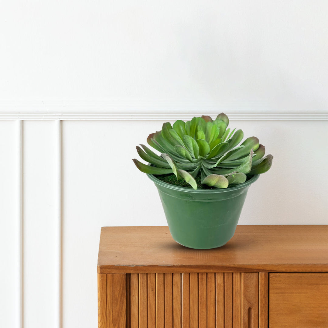 Artificial houseleek plant in pot for indoor home decor