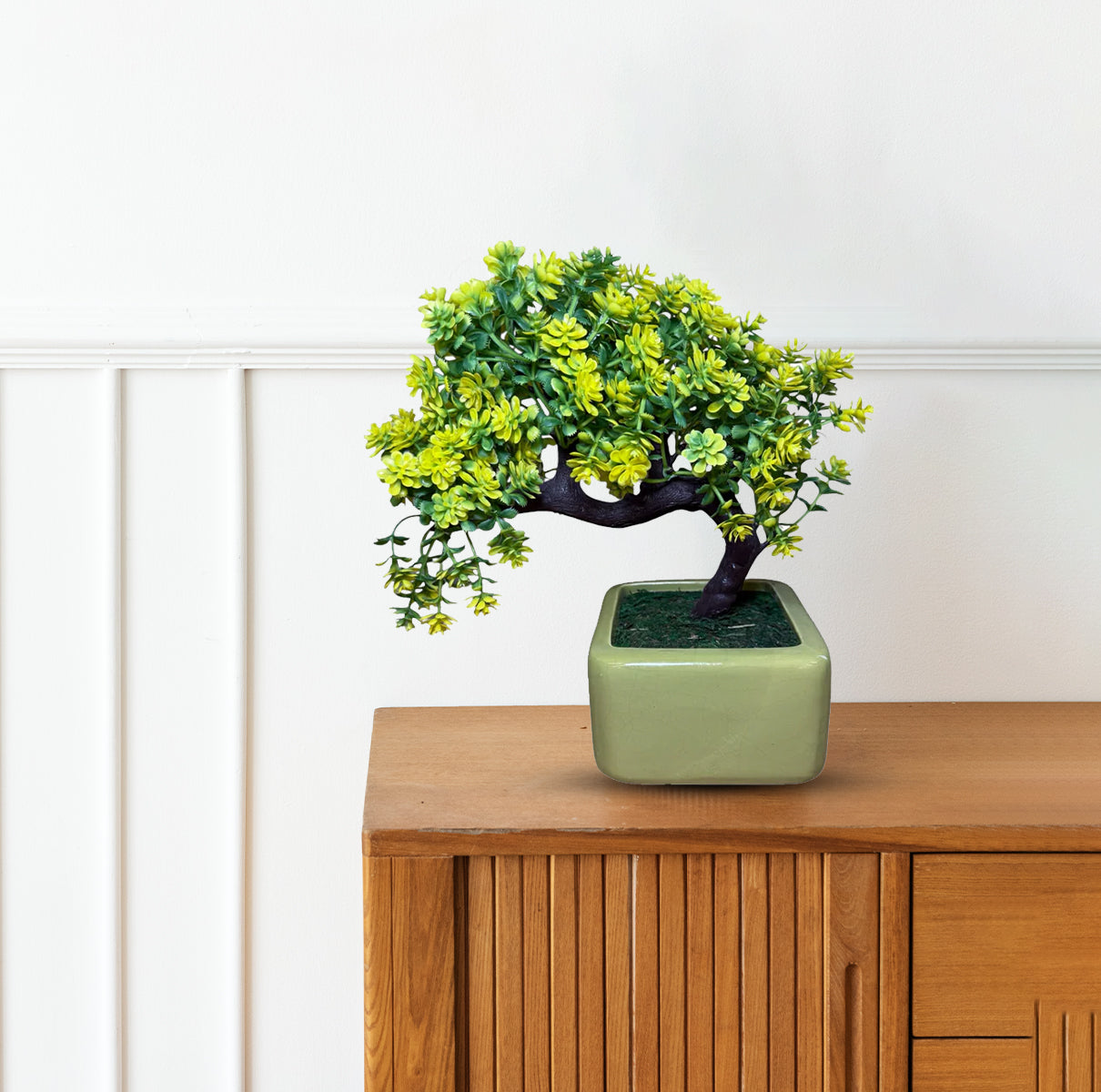 Gorgeous Yellow and Green Bonsai -Good Gift
