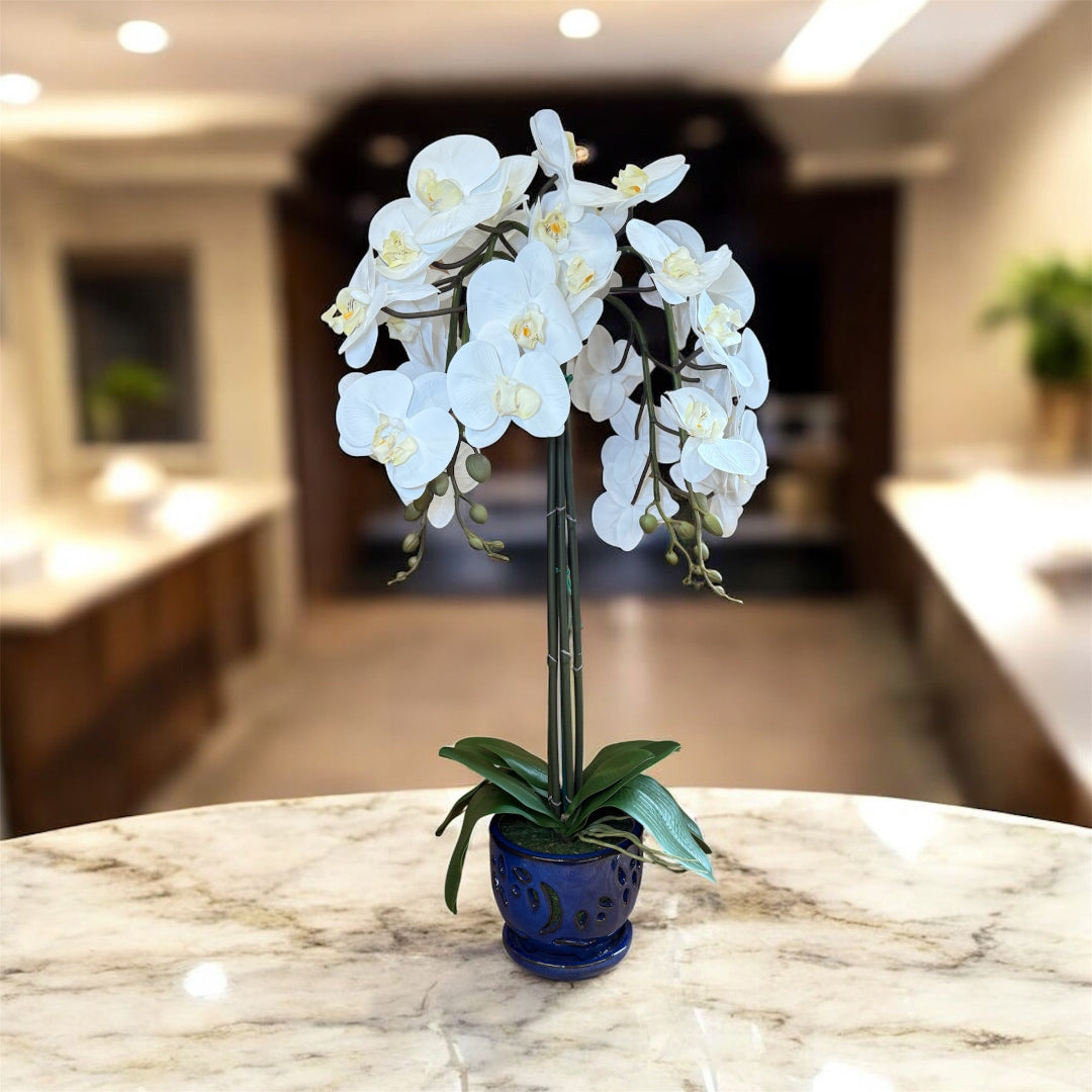 Artificial white orchid plant for desks, shelves, and reception counters
