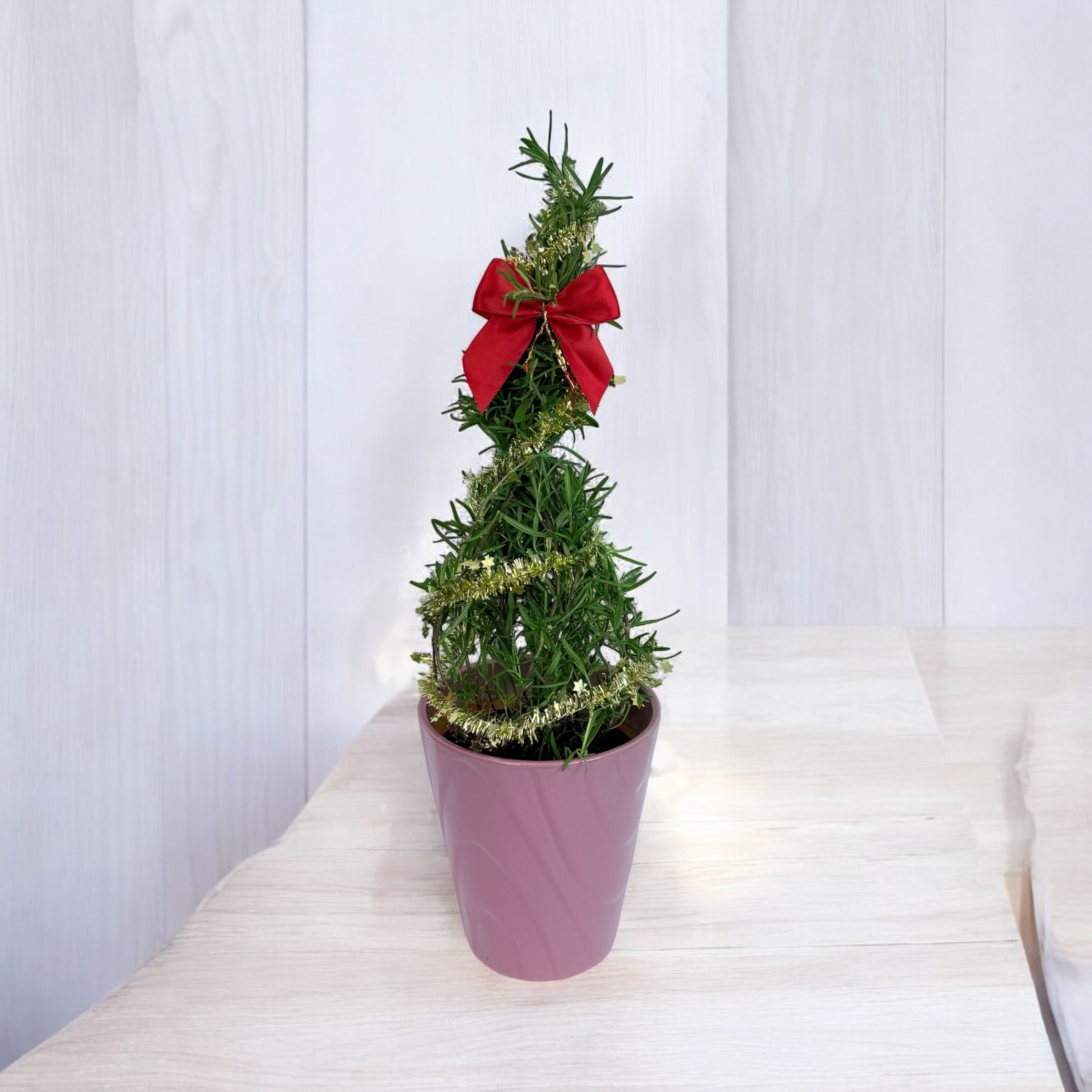 Athens Blue Rosemary