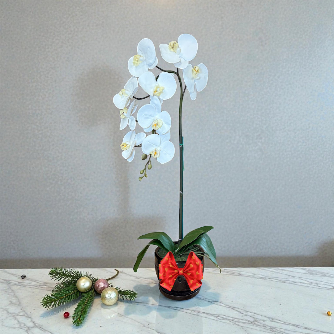 Artificial white orchid in black ceramic pot with realistic blooms