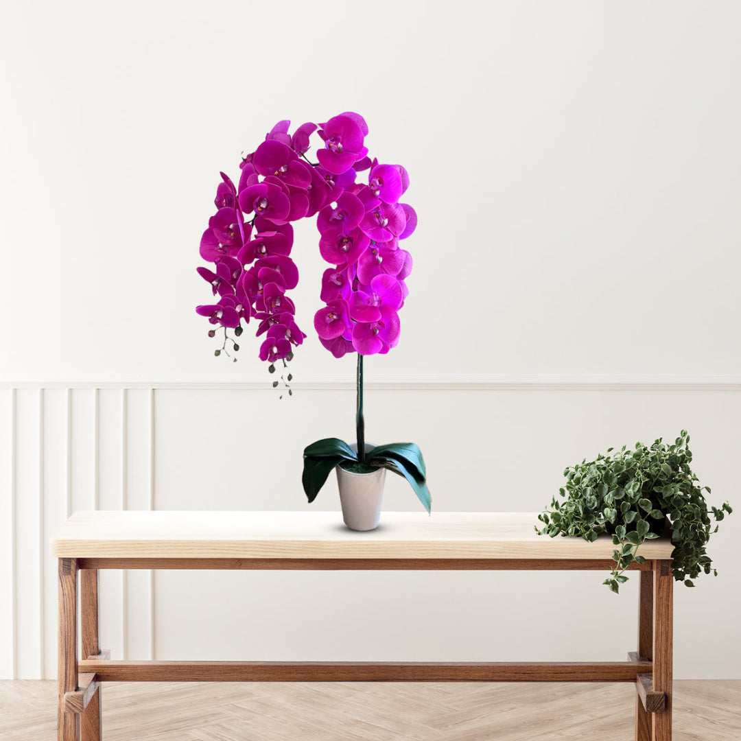 Gorgeous Artificial Orchids in Black Ceramic Legged Pot