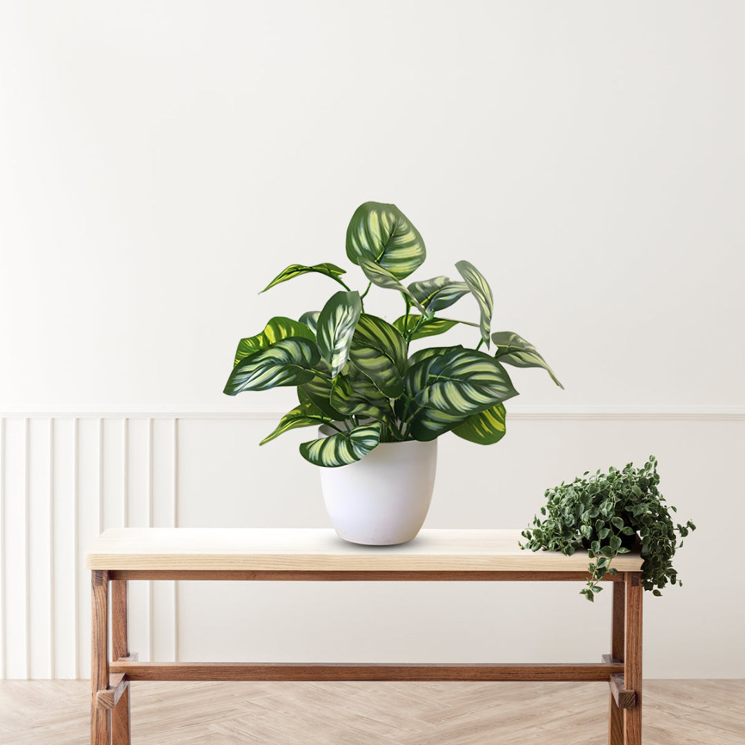 Stunning Peacock Plant in pot of your choice-Artificial-Good Gift