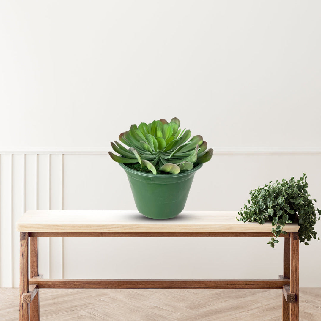 Small artificial succulent plant on console table for home decoration