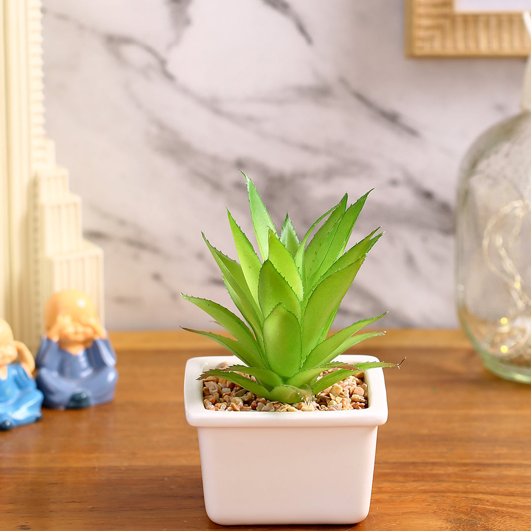Artificial : Gorgeous Succulent in Ceramic Pot
