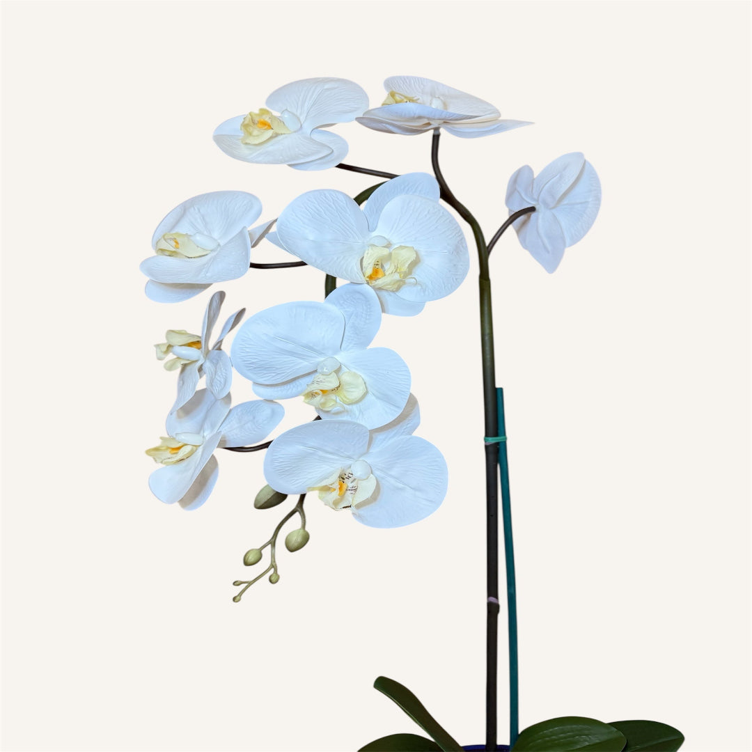 Artificial white orchid arrangement in a blue ceramic pot for tabletop styling
