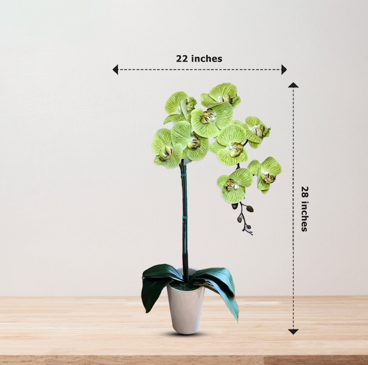 Gorgeous Artificial Orchids In White Ceramic Pot-Perfect Gift (Artificial)