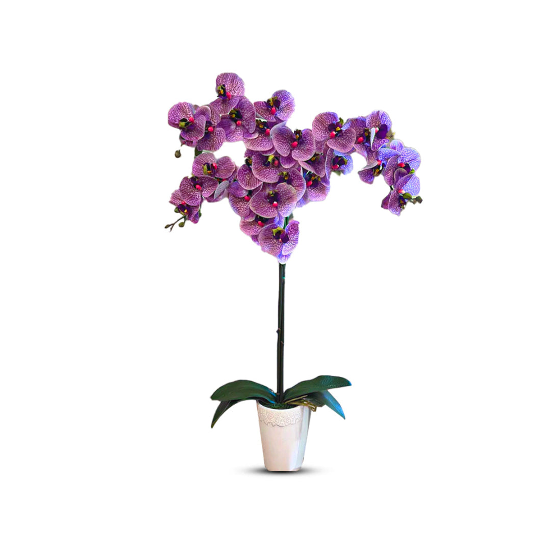 Gorgeous Real-Touch Phalaenopsis Orchid-Artificial (Good Gift)
