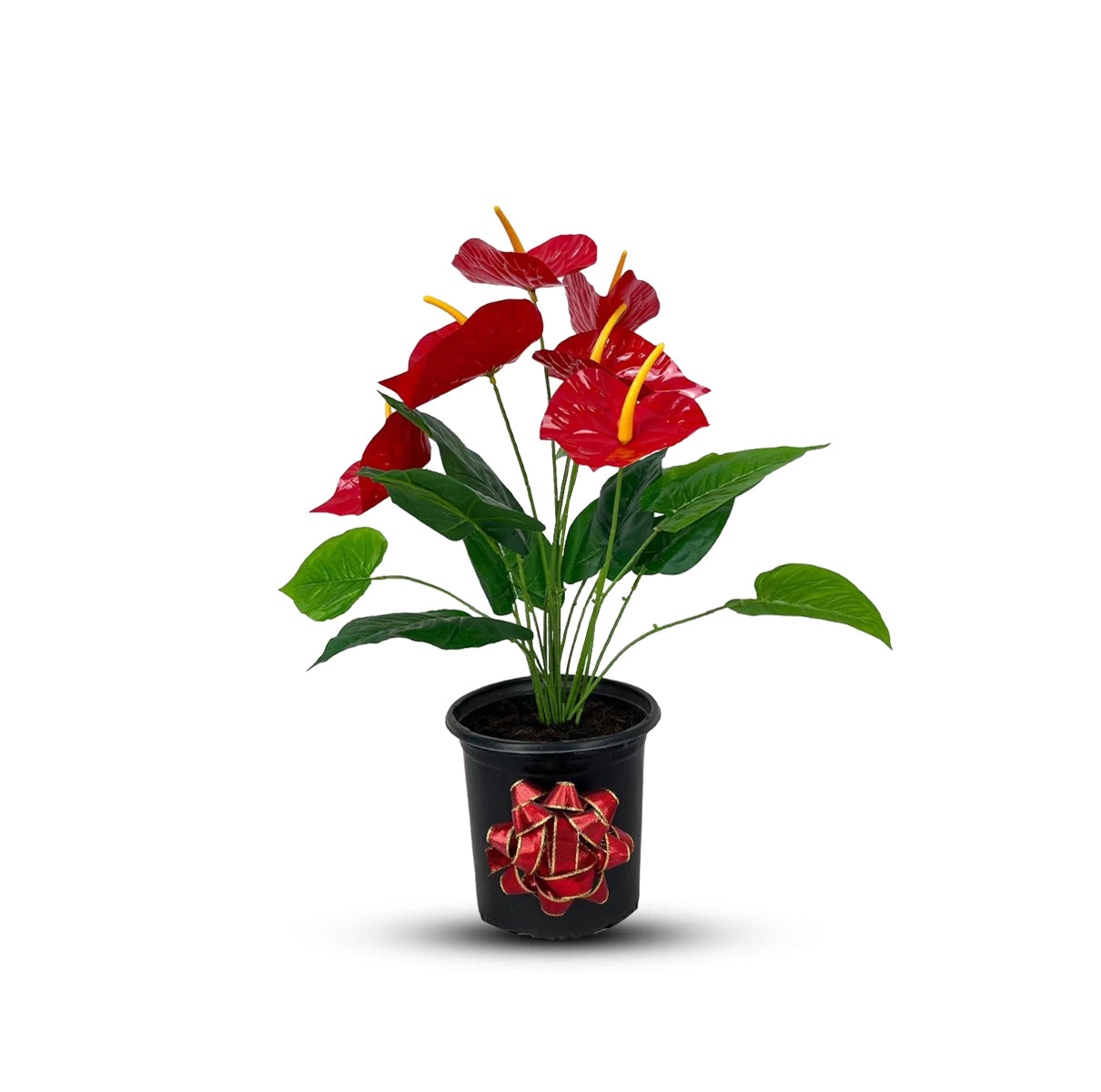 Gorgeous Artificial Anthurium Plant