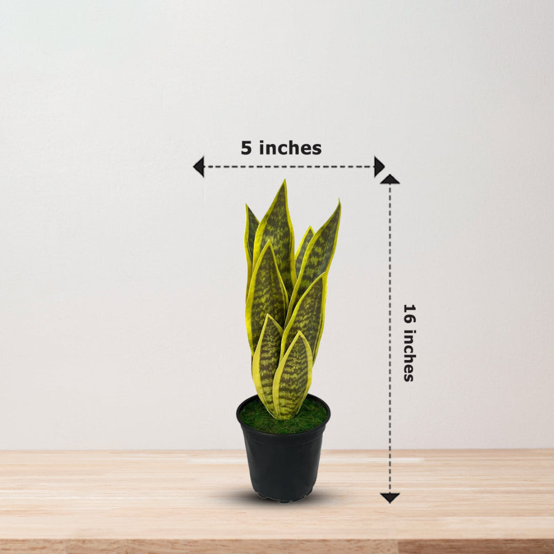 Beautiful Potted Snake Plant-Artificial
