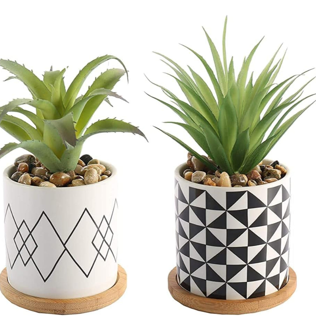 Artificial Plant : Green Potted Cactus Set of 3