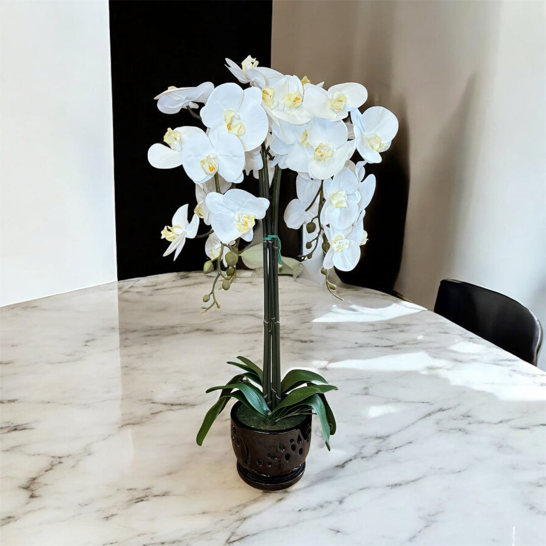 Artificial White Orchid Plant in Black Ceramic Pot (Perfect Gift)