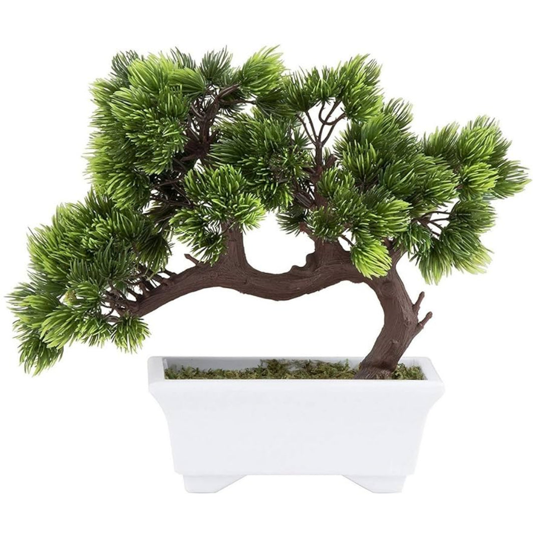 Gorgeous Bonsai with Very Attractive Pot - Green Color (Artificial) Good Gift