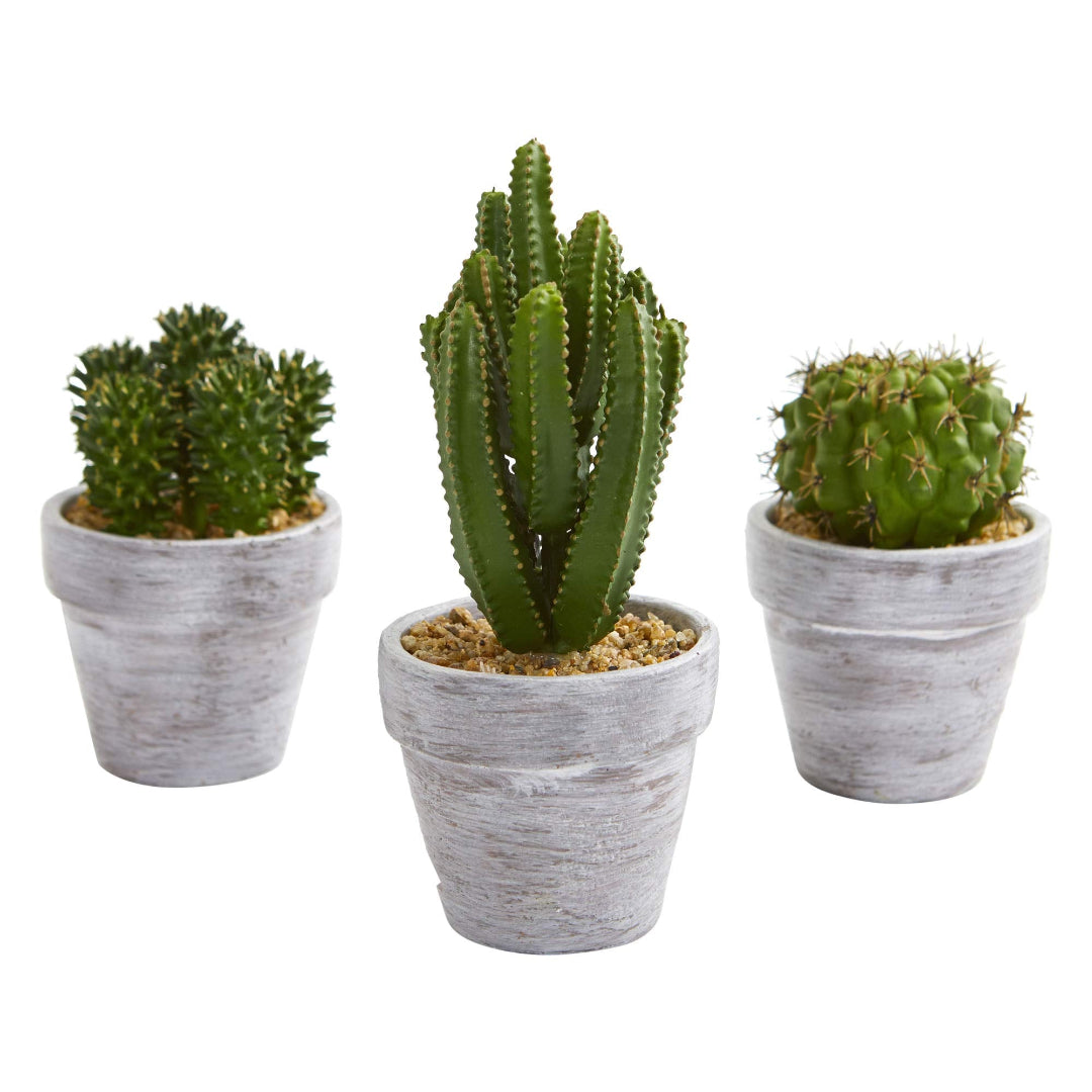 Artificial Plant : Green Potted Cactus Set of 3