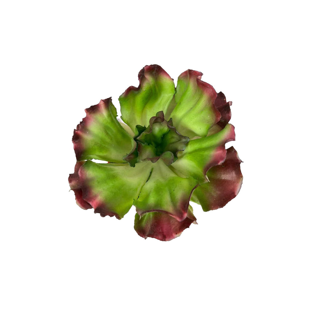 Realistic artificial Echeveria Ruffles succulent faux plant with green leaves