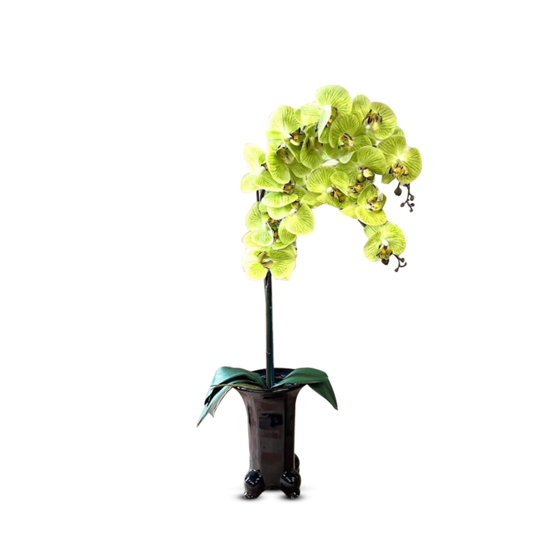 Stunning Orchids in Black Ceramic Legged Pot-Artificial (Perfect Gift)