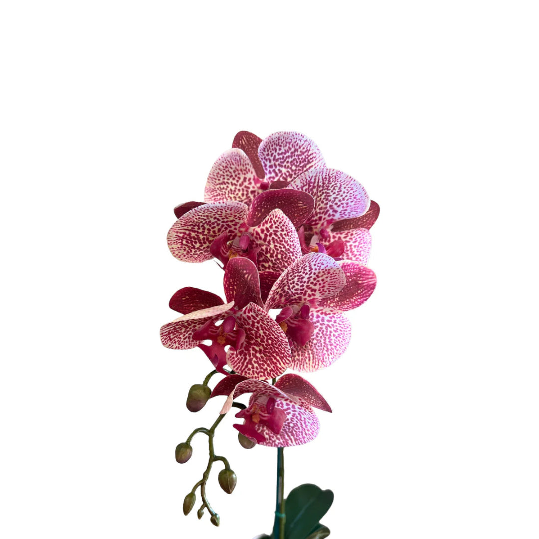 Gorgeous Variegated Orchids with 9 Flowers (Artificial) (The Perfect Christmas Gift)