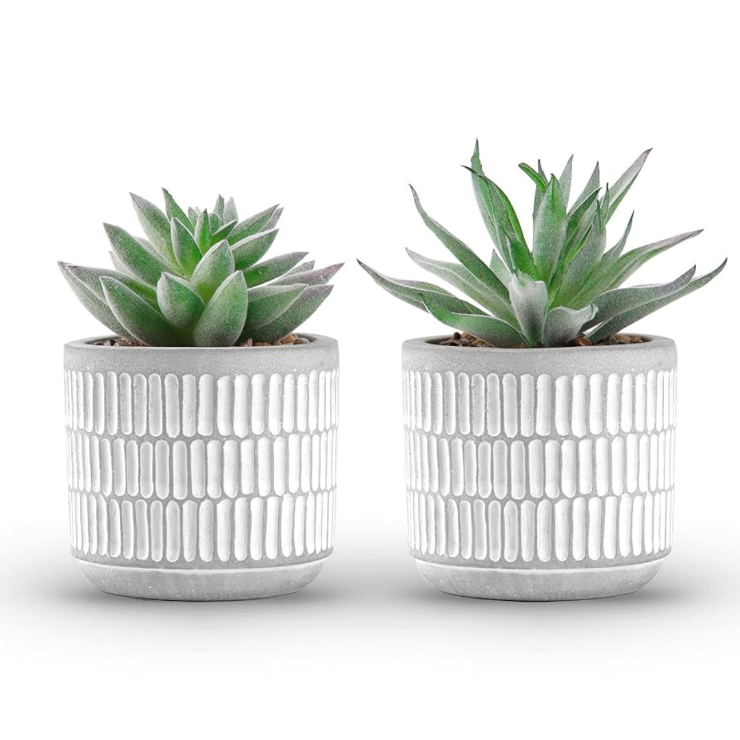 Artificial Plant : Green Potted Succulent Set of 3
