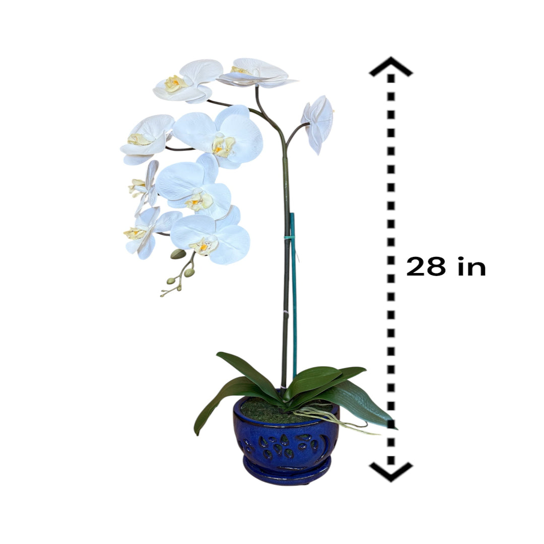 Potted artificial white orchid with blue ceramic planter for home and office