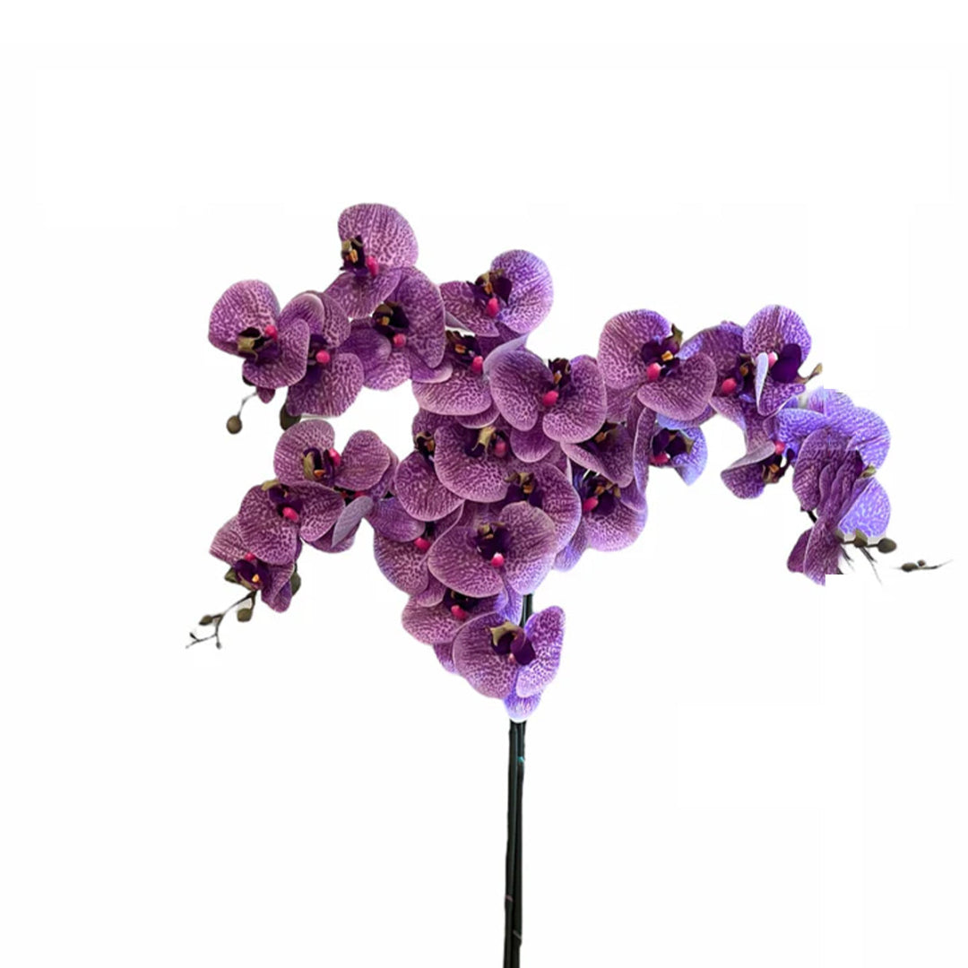 Gorgeous Variegated Orchids with 9 Flowers (Artificial) (The Perfect Christmas Gift)