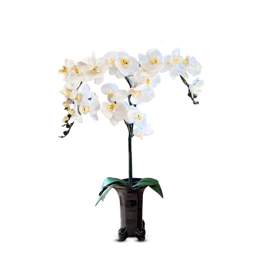 Stunning Orchids in Black Ceramic Legged Pot-Artificial (Perfect Gift)