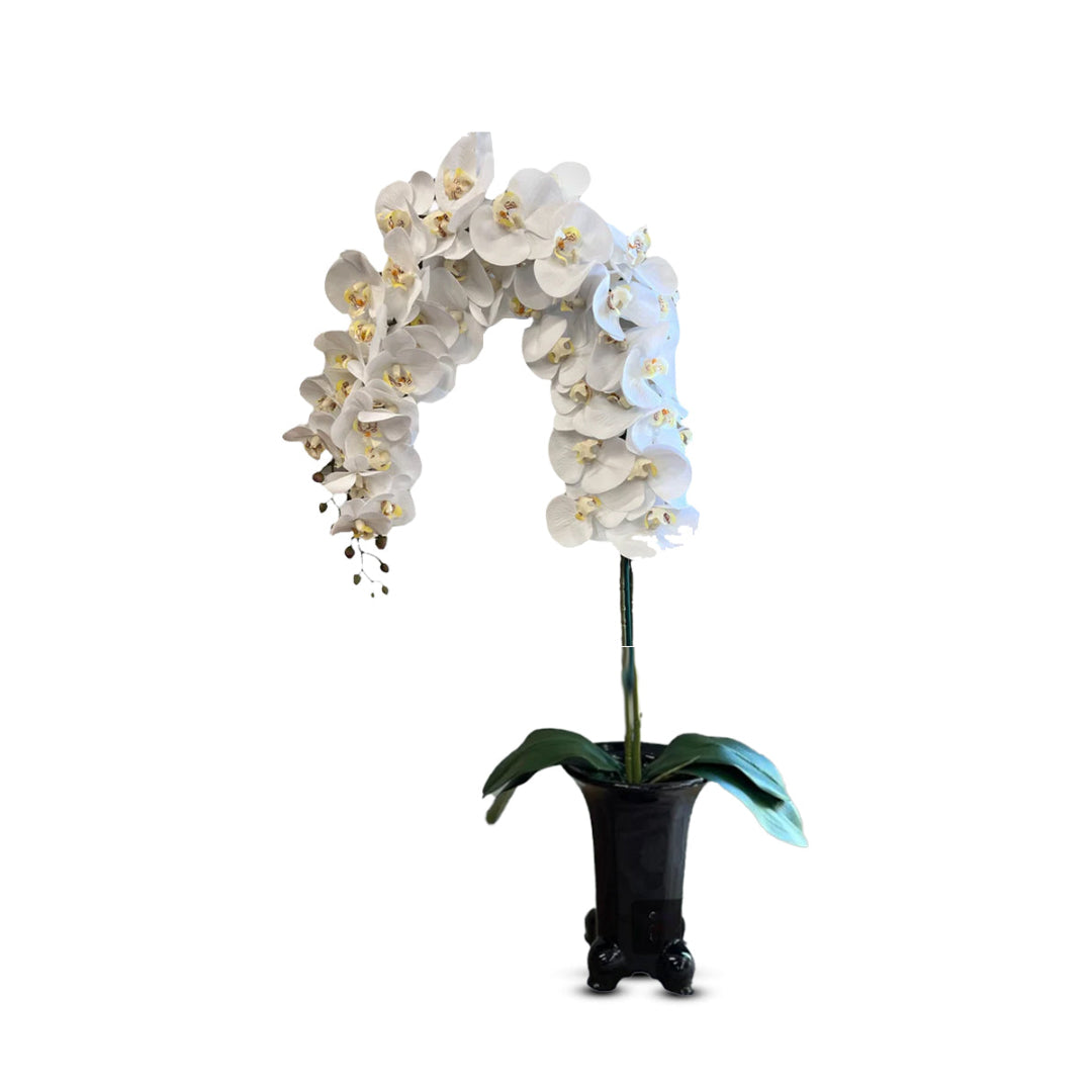 Gorgeous Artificial Orchids in Black Ceramic Legged Pot