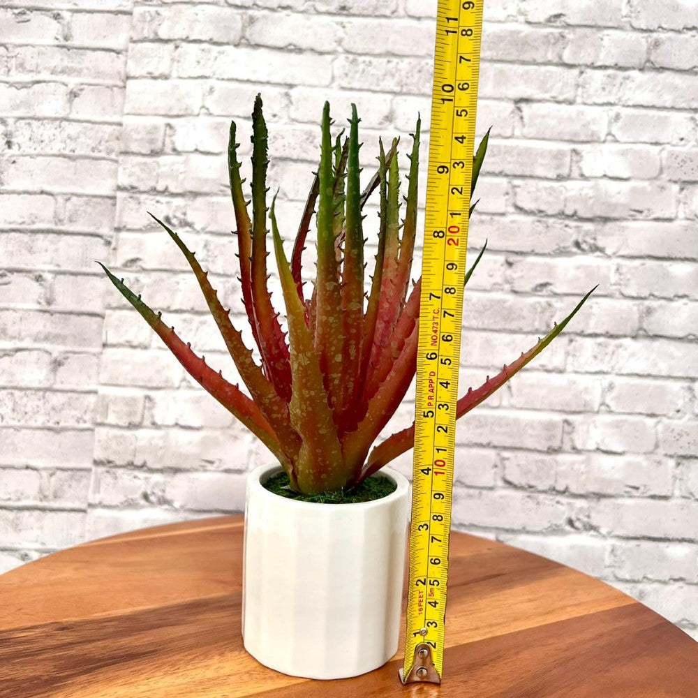 Gorgeous Artificial Aloe vera Plant in Ceramic Pot