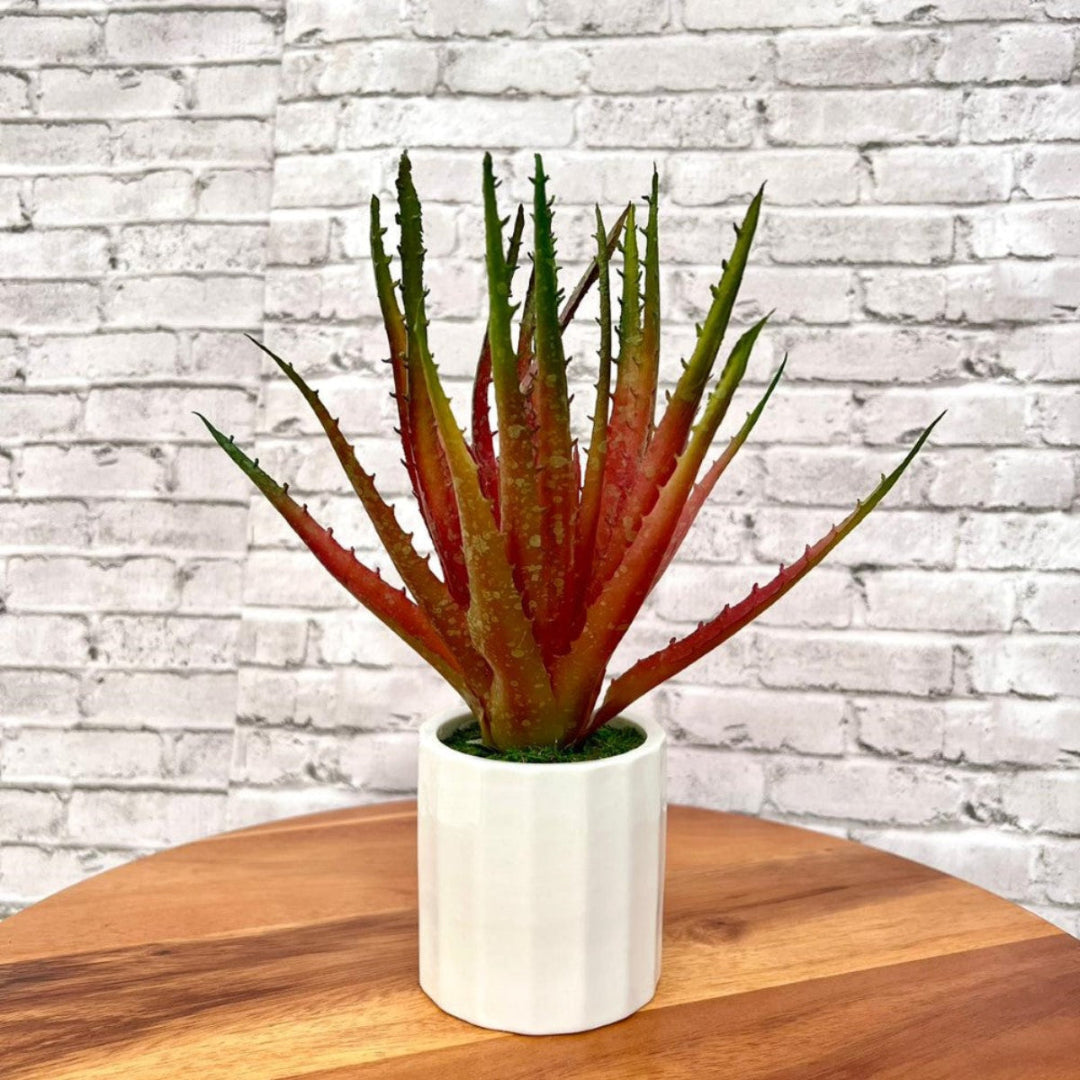 Realistic artificial aloe plant with green leaves in ceramic pot