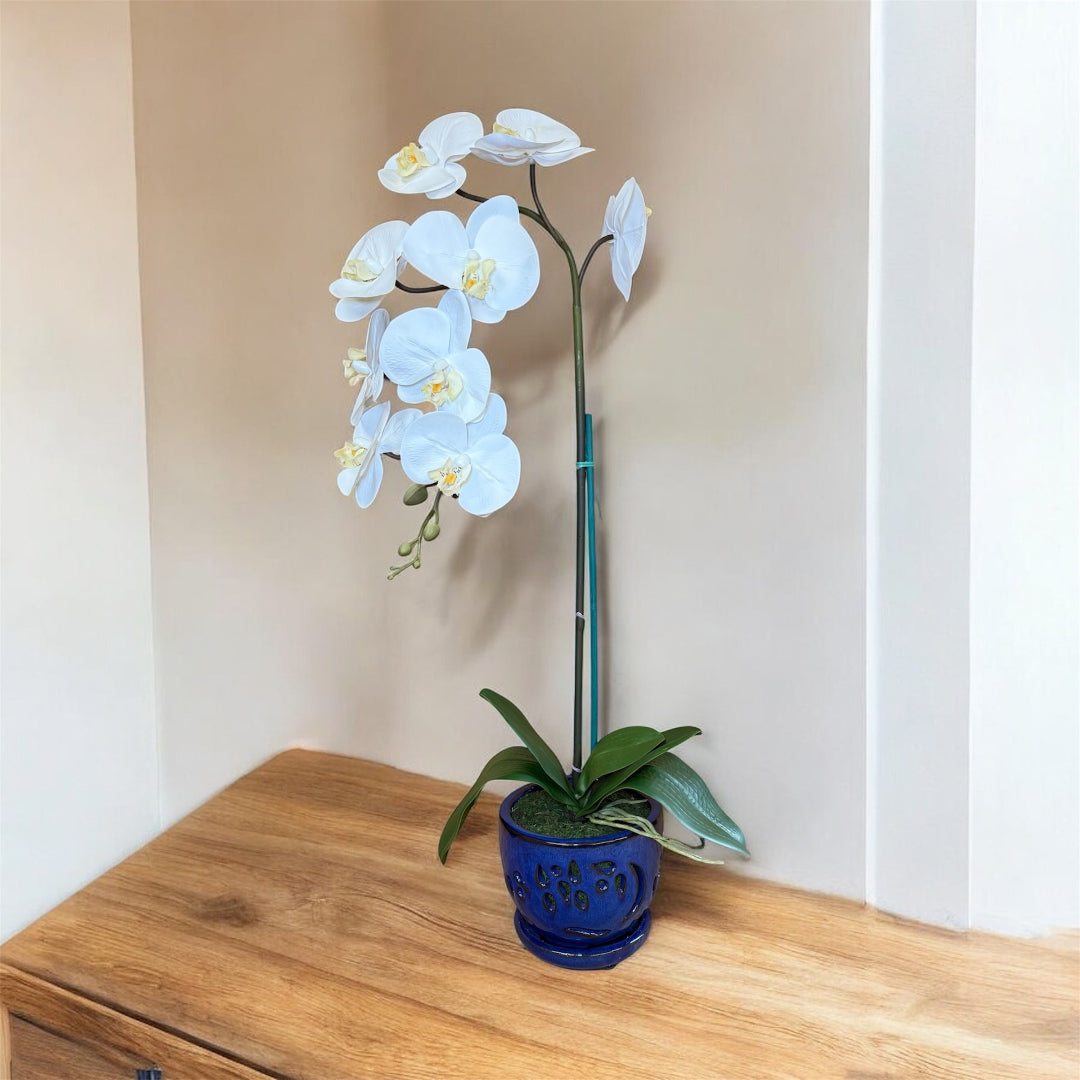 Real touch white orchid artificial plant with lifelike stems in a blue pot