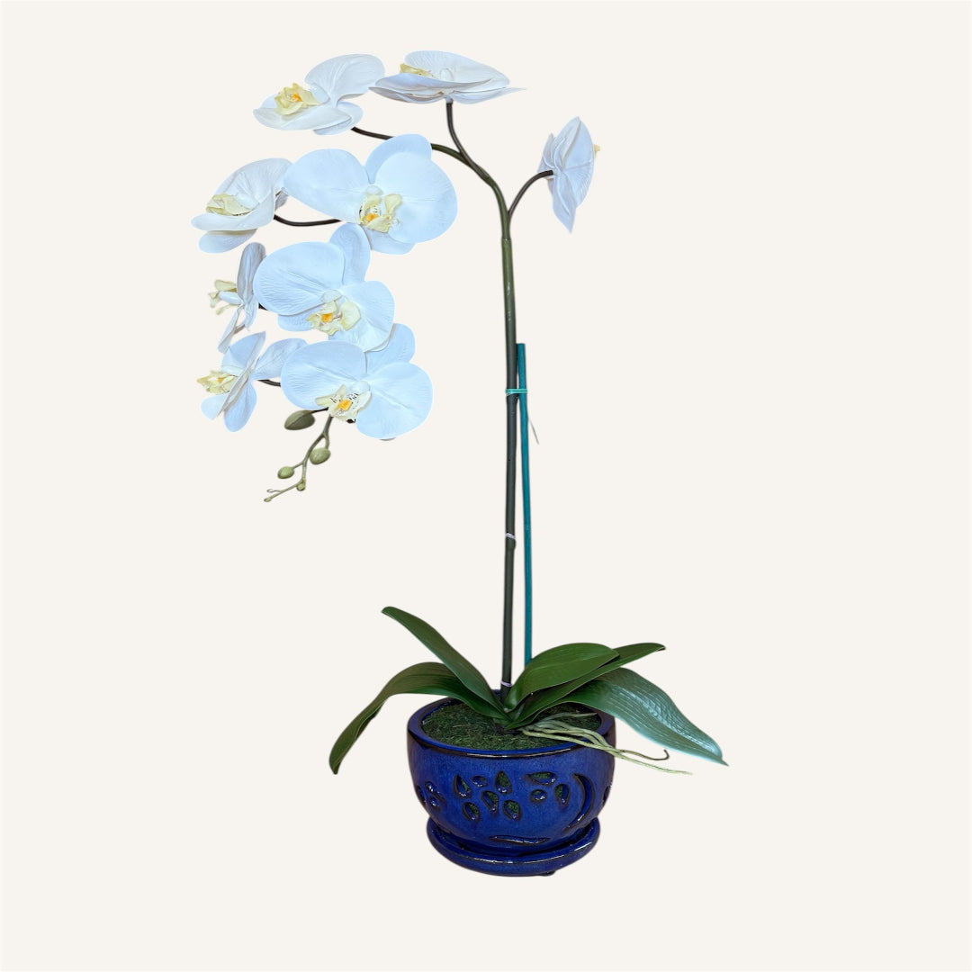 Faux white orchid plant with elegant blooms for indoor decoration