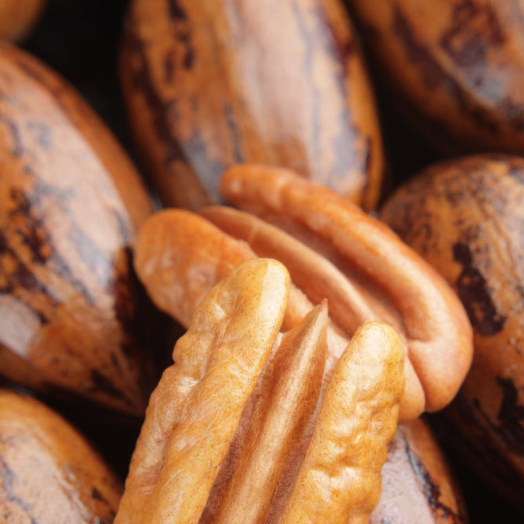 Cape Fear Pecan Trees