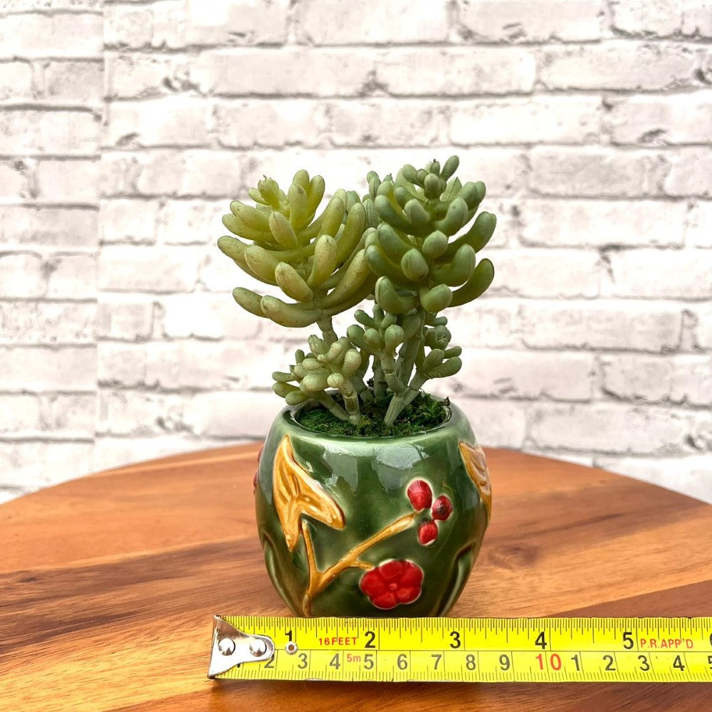 Beautiful Mini Green Succulent-Artificial